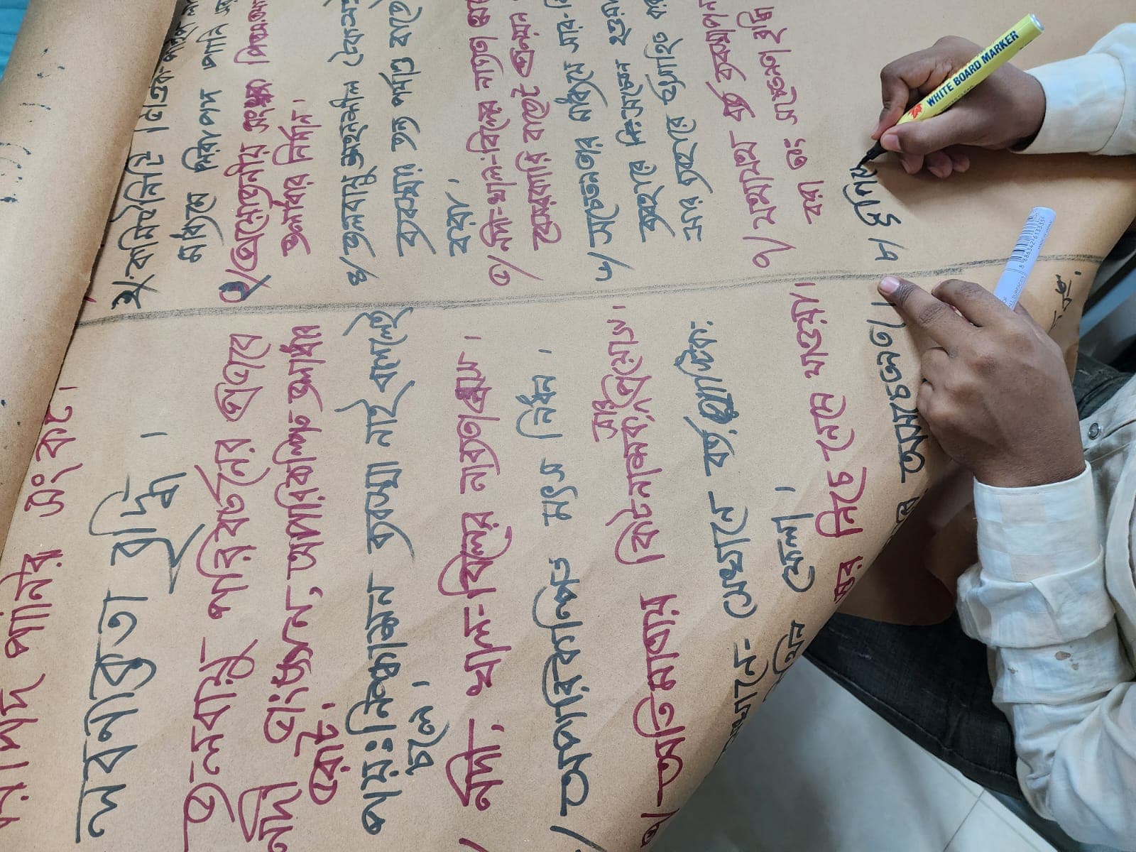 District-level Consultation Workshop in Borguna